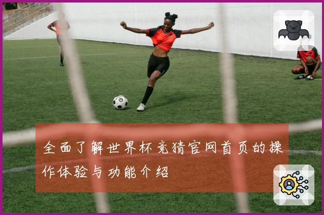 全面了解世界杯竞猜官网首页的操作体验与功能介绍