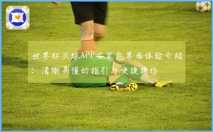 世界杯买球APP安装包界面体验介绍：清晰易懂的指引与便捷操作