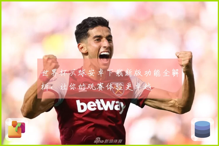 世界杯买球安卓下载新版功能全解析，让你的观赛体验更卓越