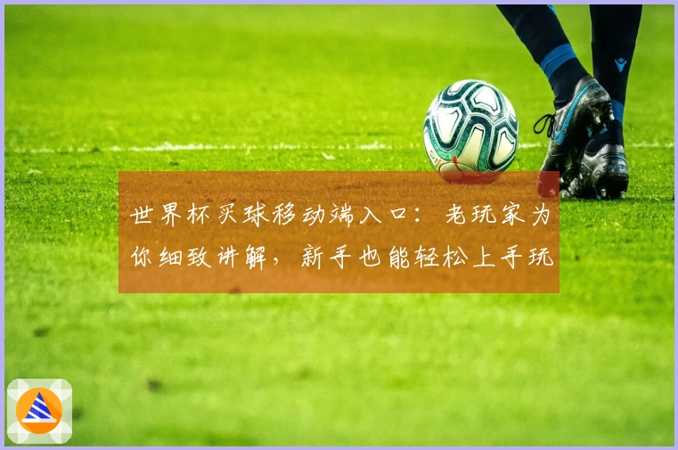 世界杯买球移动端入口：老玩家为你细致讲解，新手也能轻松上手玩转！