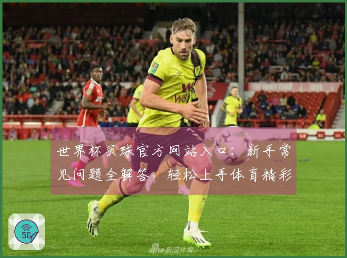 世界杯买球官方网站入口：新手常见问题全解答，轻松上手体育精彩赛事直播