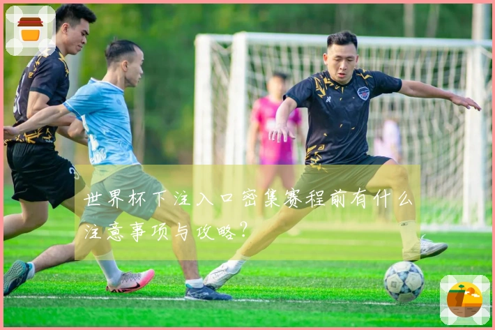 世界杯下注入口密集赛程前有什么注意事项与攻略?