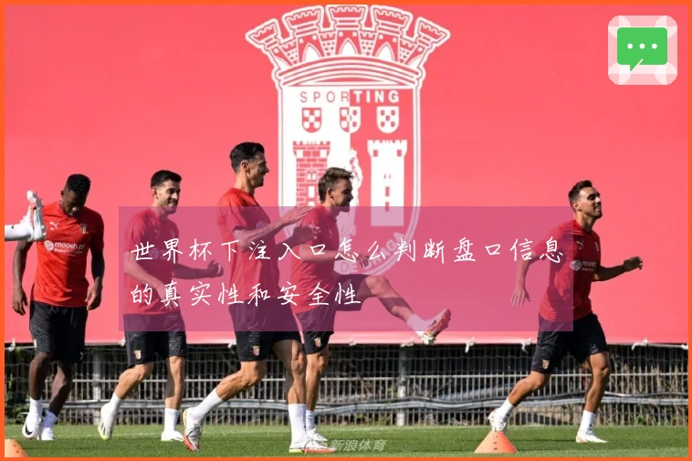 世界杯下注入口怎么判断盘口信息的真实性和安全性