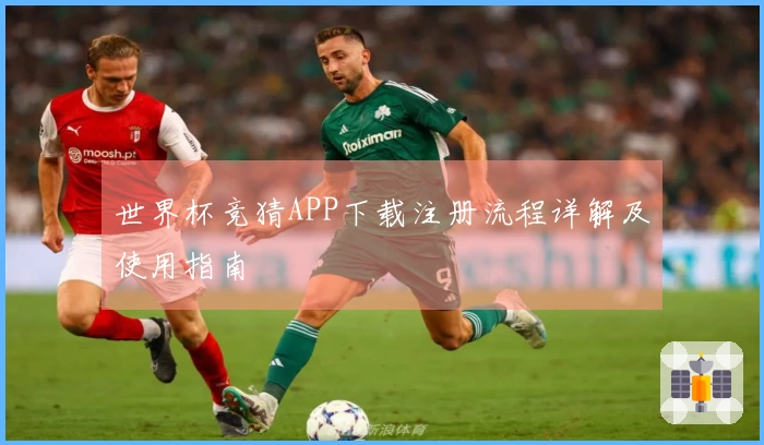 世界杯竞猜APP下载注册流程详解及使用指南