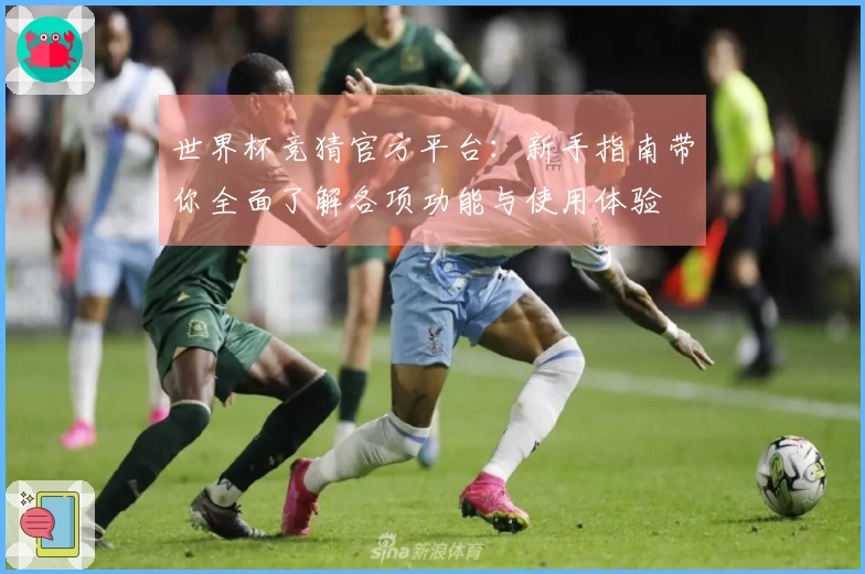 世界杯竞猜官方平台：新手指南带你全面了解各项功能与使用体验