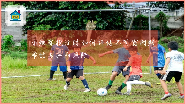小组赛投注时如何评估不同官网赔率的差异和风险
