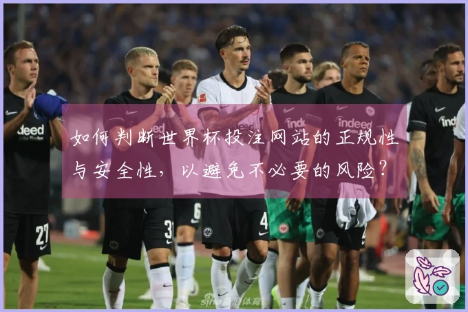 如何判断世界杯投注网站的正规性与安全性，以避免不必要的风险？